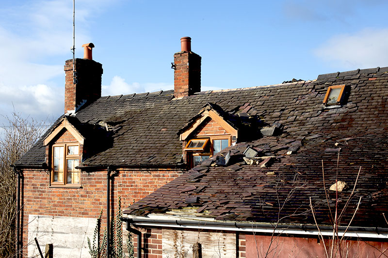 So the storm damaged your roof- what do you do?